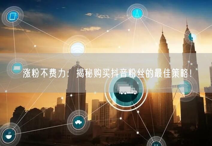 涨粉不费力：揭秘购买抖音粉丝的最佳策略！
